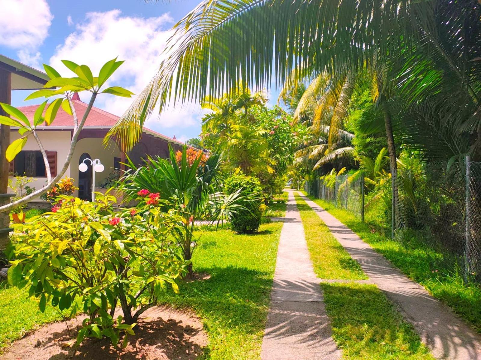 The Islander Hotel Grand Anse  Eksteriør billede