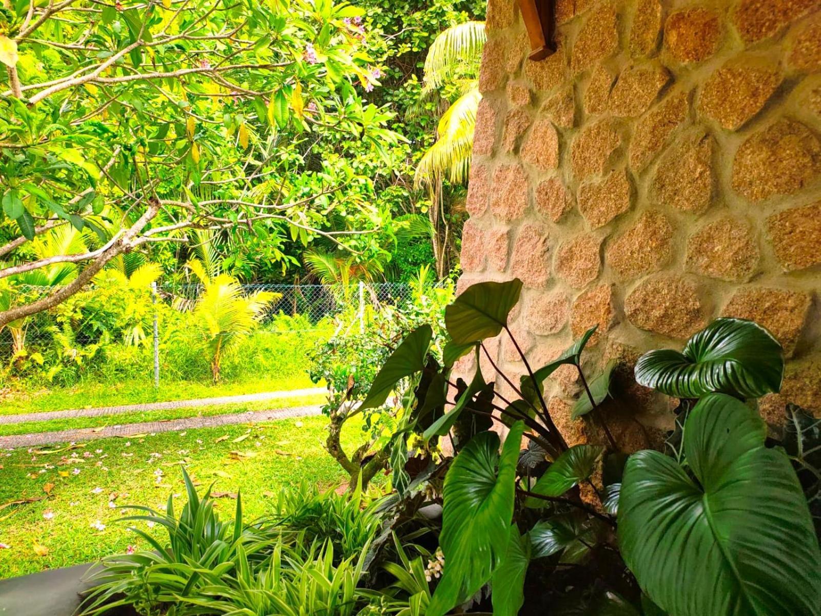 The Islander Hotel Grand Anse  Eksteriør billede